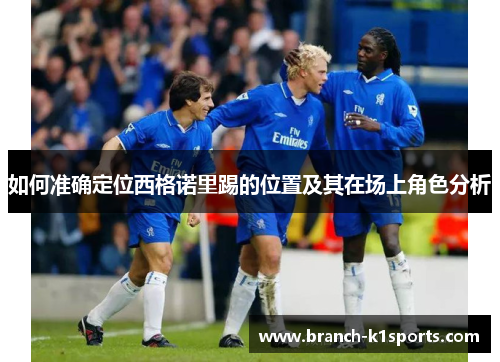 如何准确定位西格诺里踢的位置及其在场上角色分析