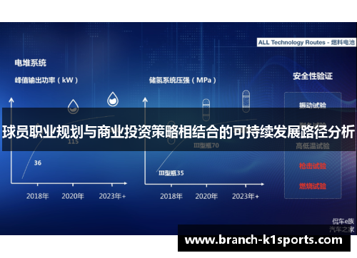 球员职业规划与商业投资策略相结合的可持续发展路径分析
