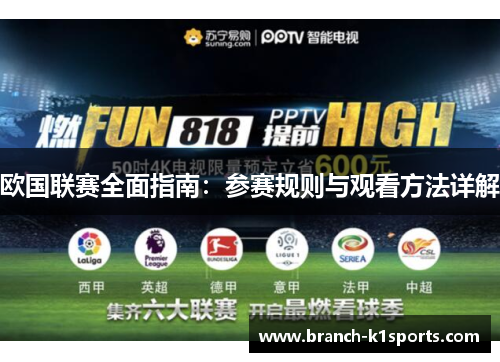欧国联赛全面指南：参赛规则与观看方法详解