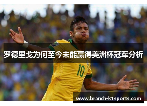 罗德里戈为何至今未能赢得美洲杯冠军分析