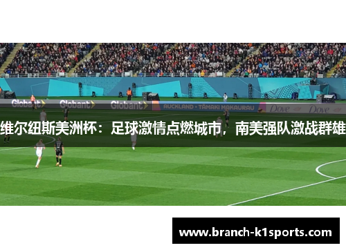 维尔纽斯美洲杯：足球激情点燃城市，南美强队激战群雄